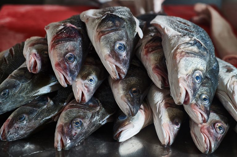 2018 10 Buddakan MAY7120 JenMayPhoto 768x511