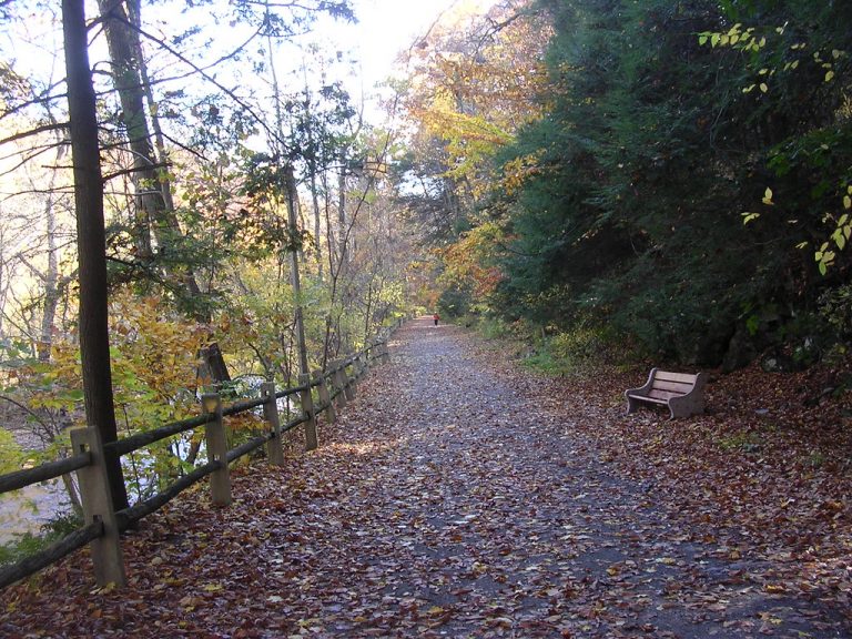 60981162 1ca02f2154 b 768x576